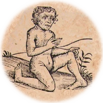 Criatura cartográfica -Ambari-