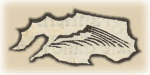 Detalle cartográfico antiguo