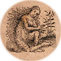 Criatura cartográfica -Górgades-